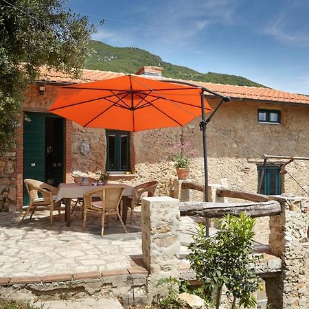 Casa Berti - Urlaub Im Olivenhain Camaiore Exterior foto