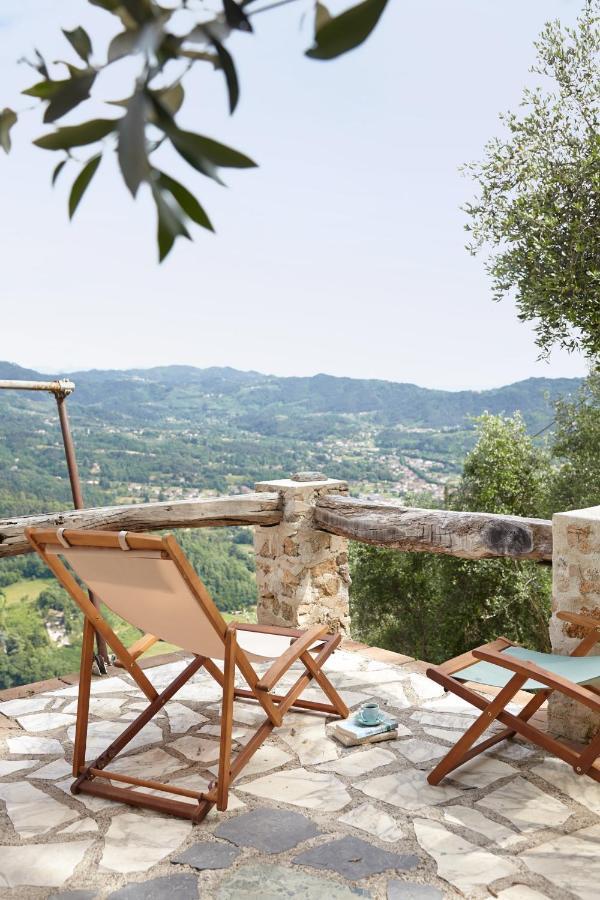 Casa Berti - Urlaub Im Olivenhain Camaiore Exterior foto