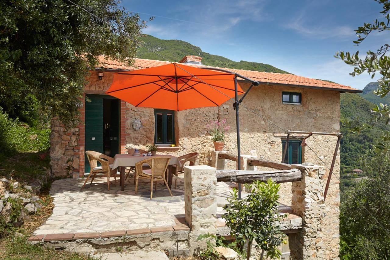 Casa Berti - Urlaub Im Olivenhain Camaiore Exterior foto
