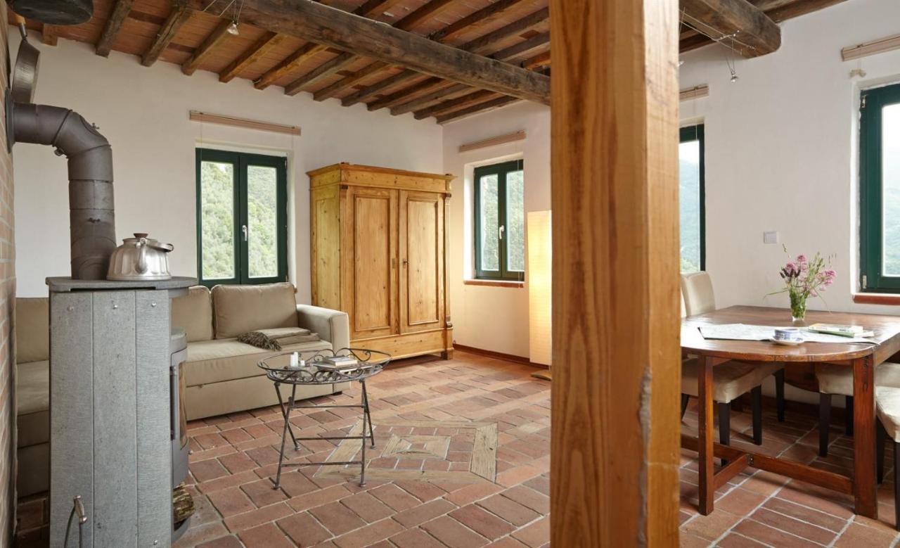 Casa Berti - Urlaub Im Olivenhain Camaiore Exterior foto