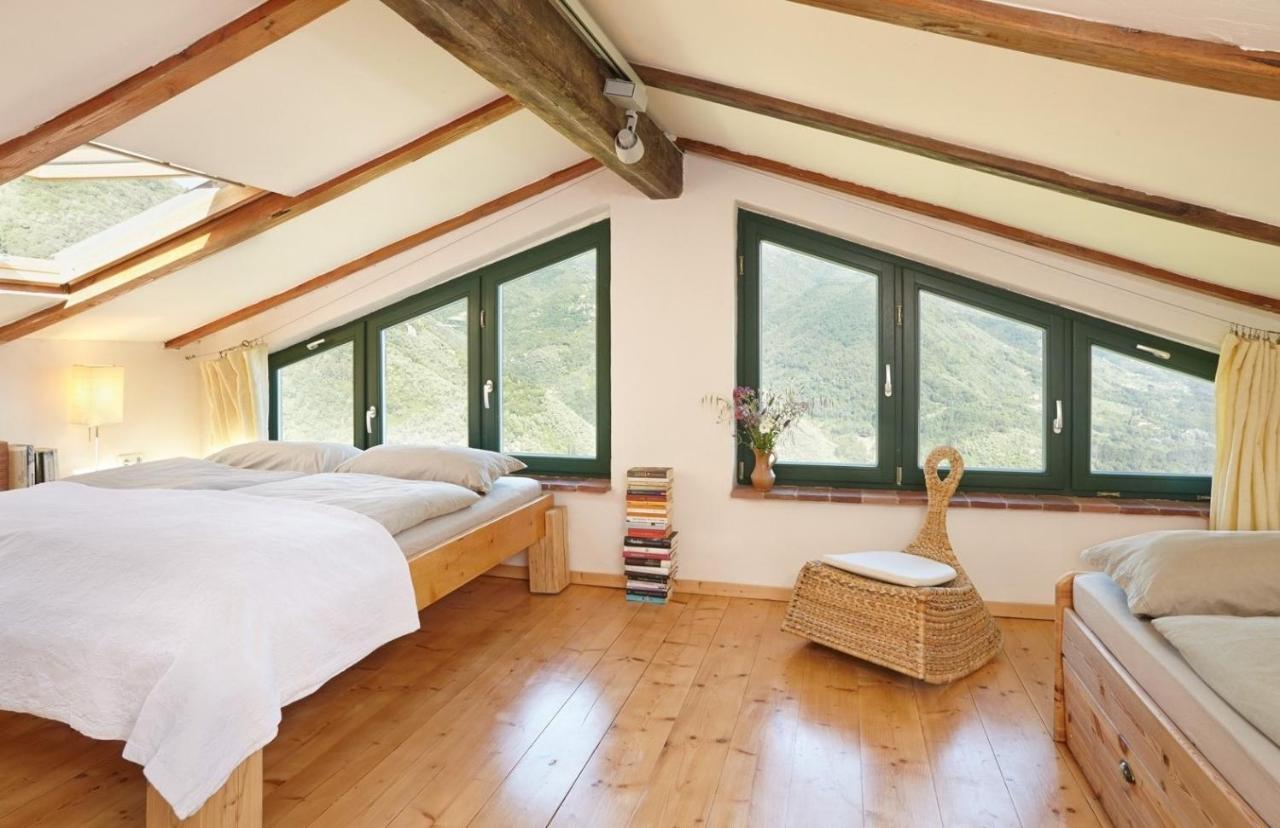 Casa Berti - Urlaub Im Olivenhain Camaiore Exterior foto